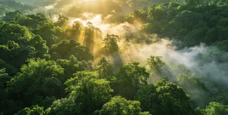 白山肺癌13基因突变检测（组织）图片1