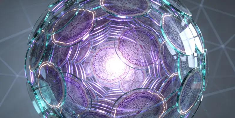 肿瘤600+基因全面用药基（组织）图4